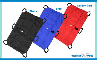 CAMILLA TRANSPORTADORA