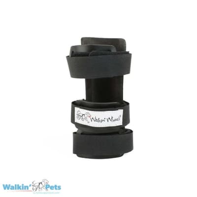 CARPAL SPLINT - FERULA CARPIANA (MANO)