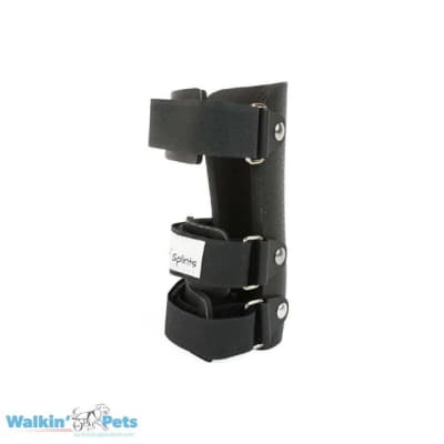 CARPAL SPLINT - FERULA CARPIANA (MANO)