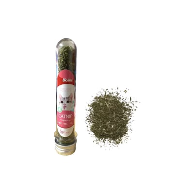 CATNIP EN TUBO