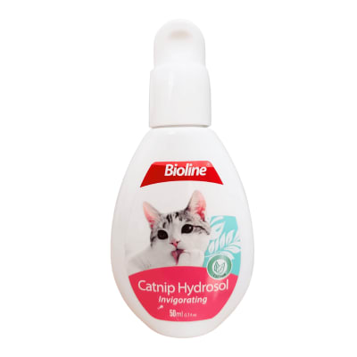 HYDROSOL DE CATNIP