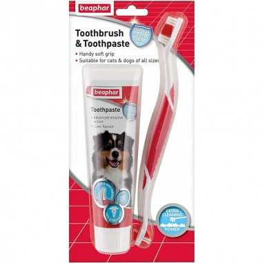 KIT CEPILLO Y PASTA DENTAL PARA PERROS Y GATOS