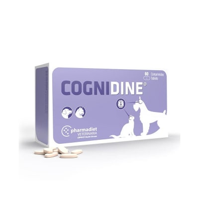 COGNIDINE (VENCE 31/12/26)
