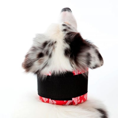 COLLAR CERVICAL