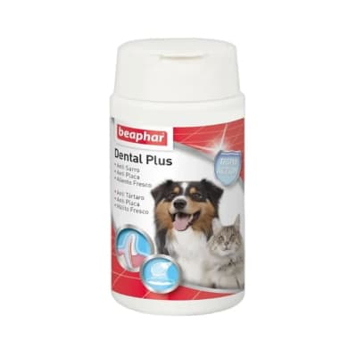 DENTAL PLUS