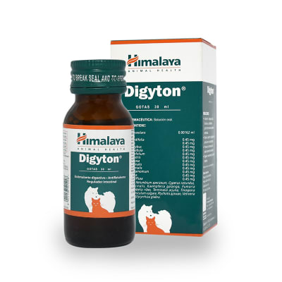 DIGYTON
