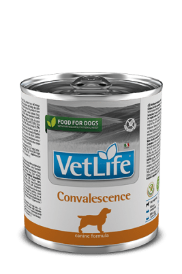 VETLIFE CANINO CONVALESCENCE LATA