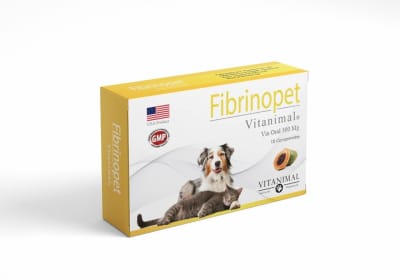 FIBRINOPET 10 COMPRIMIDOS
