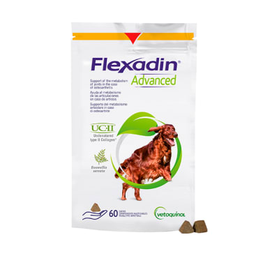 FLEXADIN ADVANCED