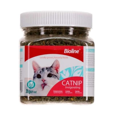CATNIP FRASCO 20 GRAMOS