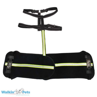 HIP-EEZ BASE SYSTEM - ABRAZADERA DE CADERA CANINA