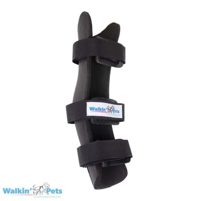 HOCK SPLINT - FERULA PARA CORVEJON