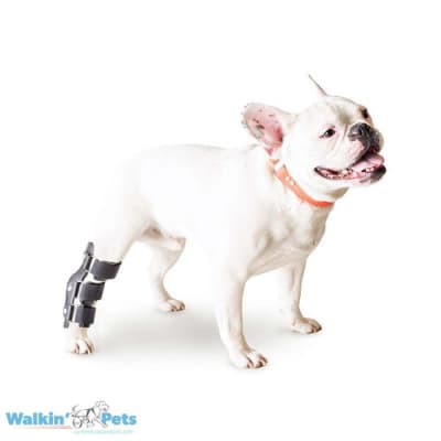 HOCK SPLINT - FERULA PARA CORVEJON