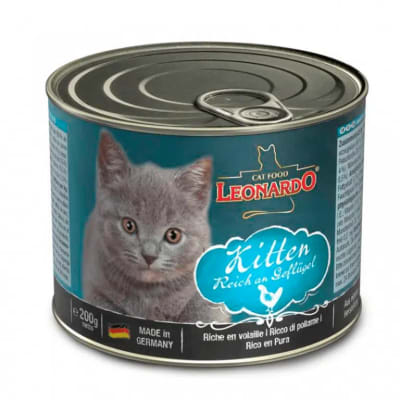 LEONARDO KITTEN LATA