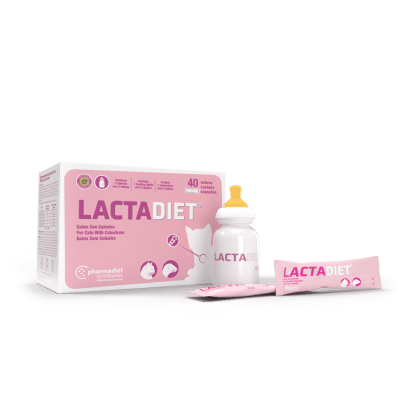 LACTADIET SUSTITUTO CON CALOSTRO CON MAMADERA PARA GATITOS