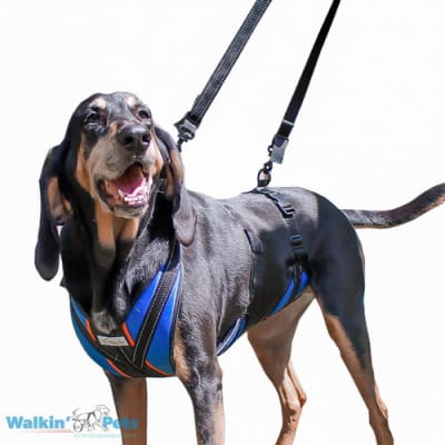 LIFT-N-STEP HARNESS