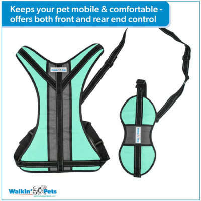 LIFT-N-STEP HARNESS