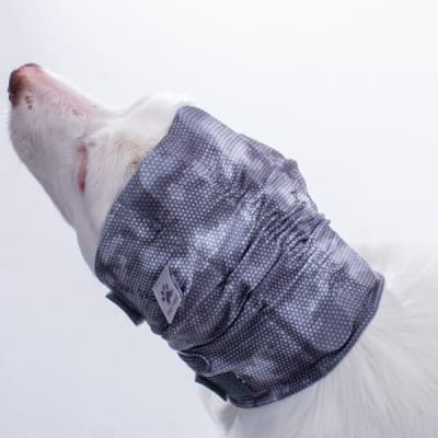 PROTECTOR DE OIDOS (OTOPROTECTOR / OTOCALM)