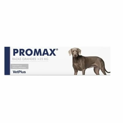 PMX.RZAGDE