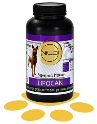 VITO LIPOCAN