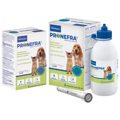 PRONEFRA