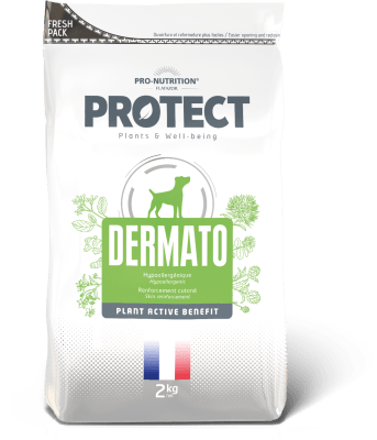 PROTECT DERMATO CANINO