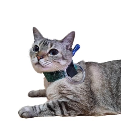 PROTECTOR PARA SONDA ESOFAGICA