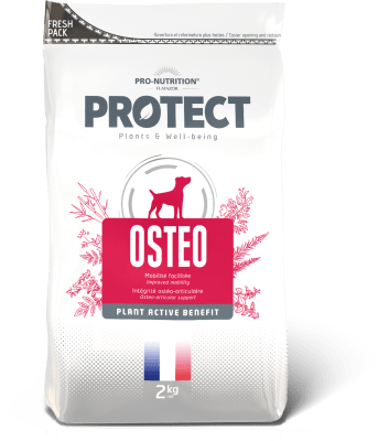 PROTECT OSTEO CANINO 2 KG