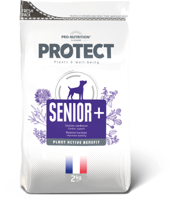 PROTECT SENIOR CANINO 2 KG