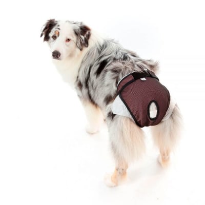 PROTECTOR DE PAÑAL REUTILIZABLE PARA HEMBRA O CALZON DE CELO