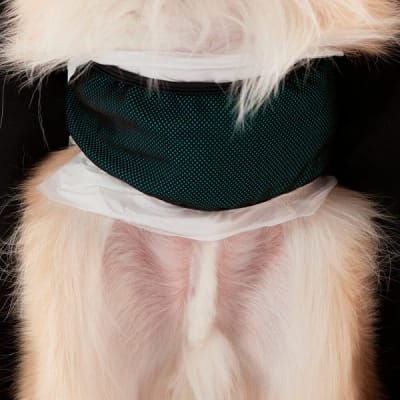 PROTECTOR DE PAÑAL REUTILIZABLE PARA MACHOS