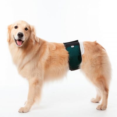 PROTECTOR DE PAÑAL REUTILIZABLE PARA MACHOS