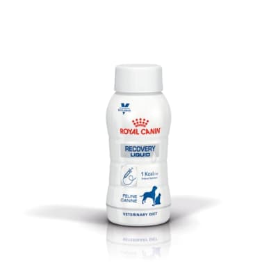 RECOVERY LIQUID