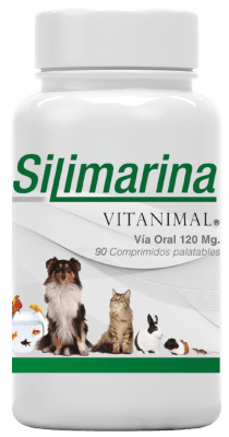 SILIMARINA 90 COMPRIMIDOS