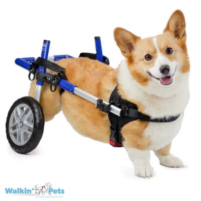 SILLA DE RUEDAS CORGI