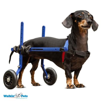 SILLA DE RUEDAS DOXI