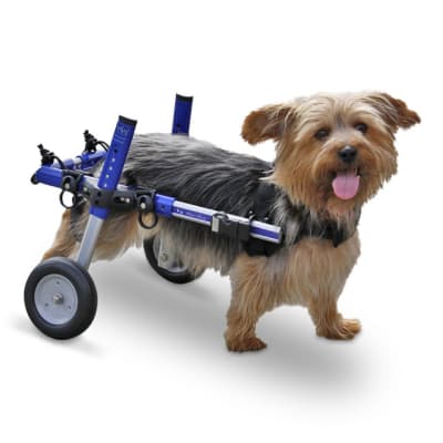 SILLA DE RUEDAS MINI