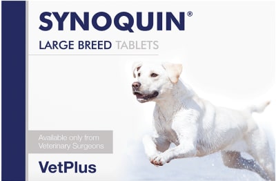 SYNOQUIN RAZA GRANDE
