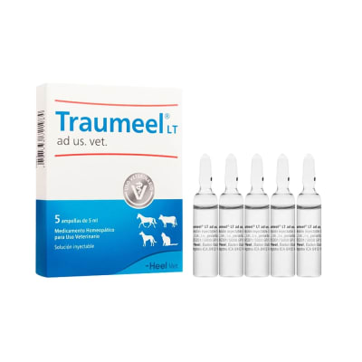 TRAUMEEL AMPOLLAS