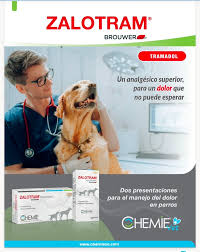 ZALOTRAM COMPRIMIDOS