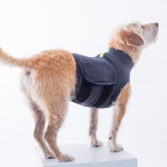 CHALECO CALMANTE CALMPET