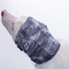 PROTECTOR DE OIDOS (OTOPROTECTOR / OTOCALM)