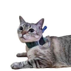 PROTECTOR PARA SONDA ESOFAGICA