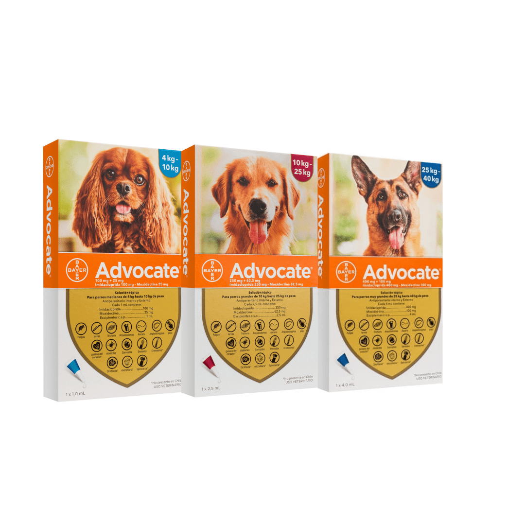 ADVOCATE PIPETA PARA PERROS1