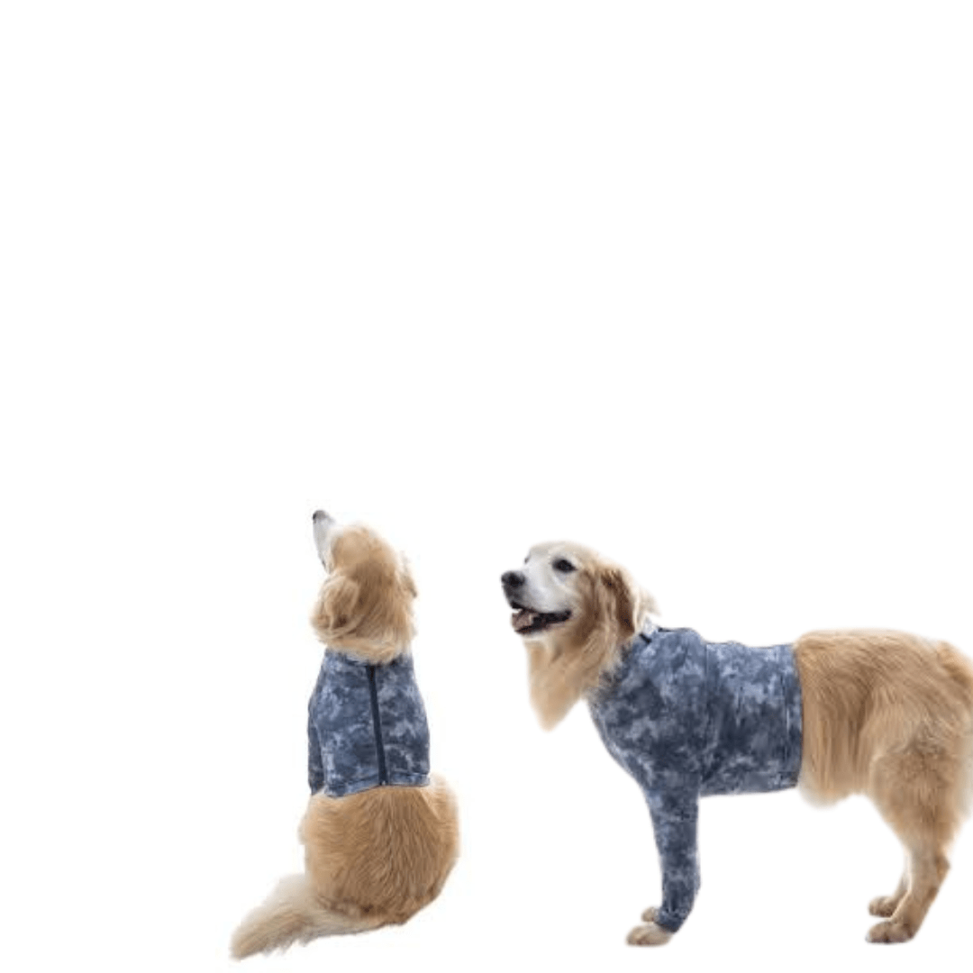 BODY MIEMBROS ANTERIORES SUPREME1