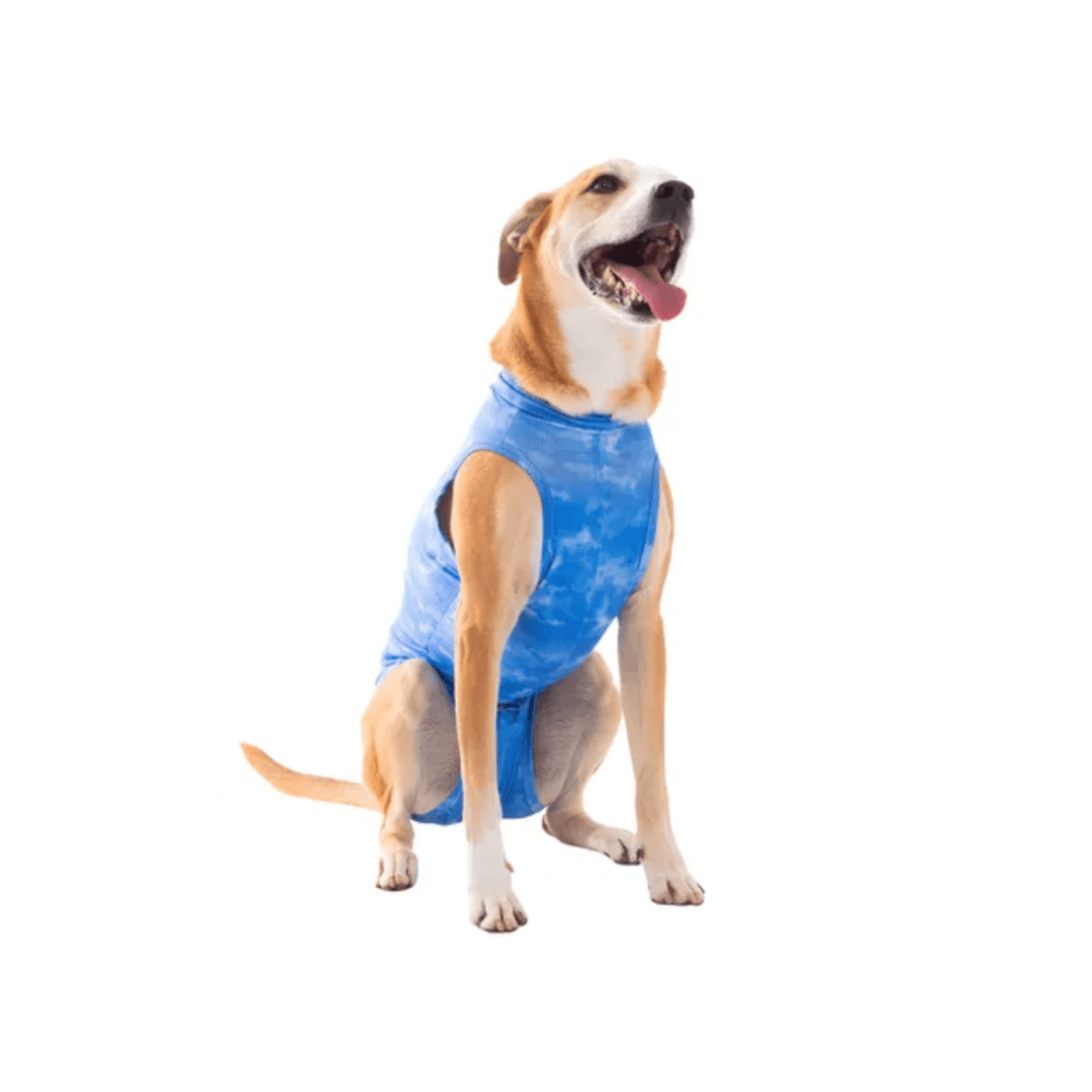 BODY CASTRACIÓN MACHO DRY LIGHT1