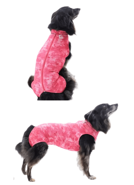 BODY POST OPERATORIO TRADICIONAL1