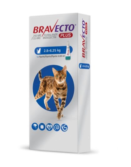 BRAVECTO PLUS PARA GATOS 2.8 A 6.25 KG1