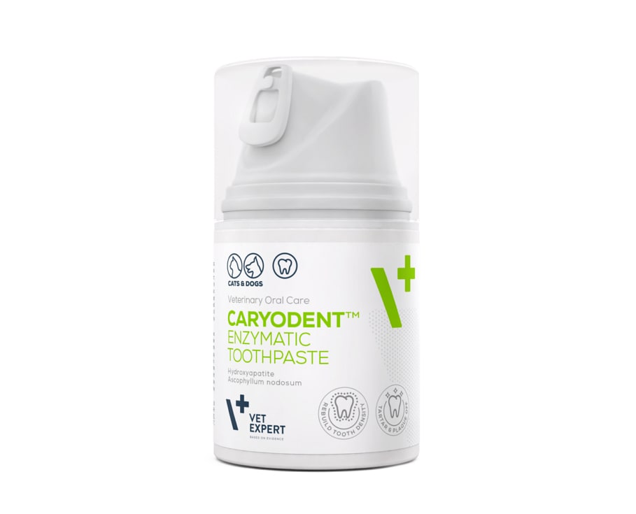 CARYODENT ENZYTMATIC TOOTHPASTE (PASTA DENTAL ENZIMATICA)1
