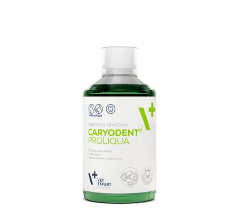 CARYODENT PROLIQUA  (ADITIVO PARA EL AGUA, CUIDADO DENTAL)1
